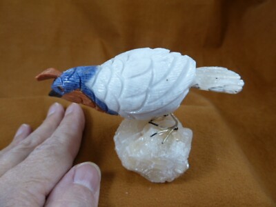 (Y-BIR-QU-42) Quail tan white blue bird gemstone STONE figurine Peru quails