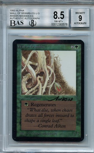 MTG Alpha Wall of Brambles BGS 8.5 NM-MT+ BAS 9 Signed Magic card Amricons 3576 - Picture 1 of 5