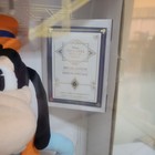  Disney Treasures From the Vault, June Limited Edition Goofy Plush NIB — photo 4