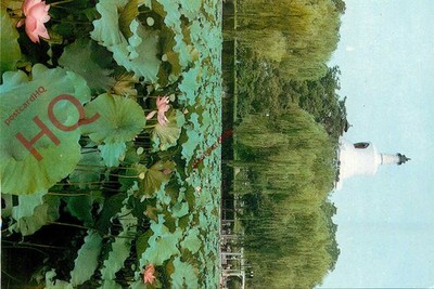 Ansichtskarte: Peking, Beihai Park, Lotus
