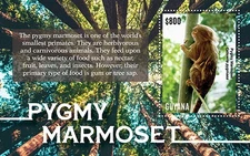 Guyana 2022 - Pygmy Marmoset Monkeys - Souvenir Stamp Sheet - Scott #4705 - MNH