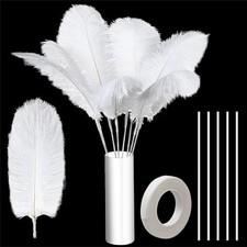80 Pcs Ostrich Feathers Bulk for Vase Large Natural Ostrich Feathers 8 White