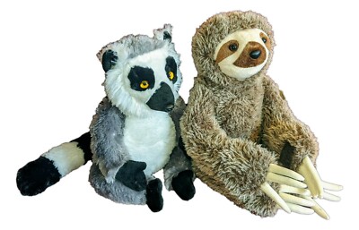 destination nation sloth
