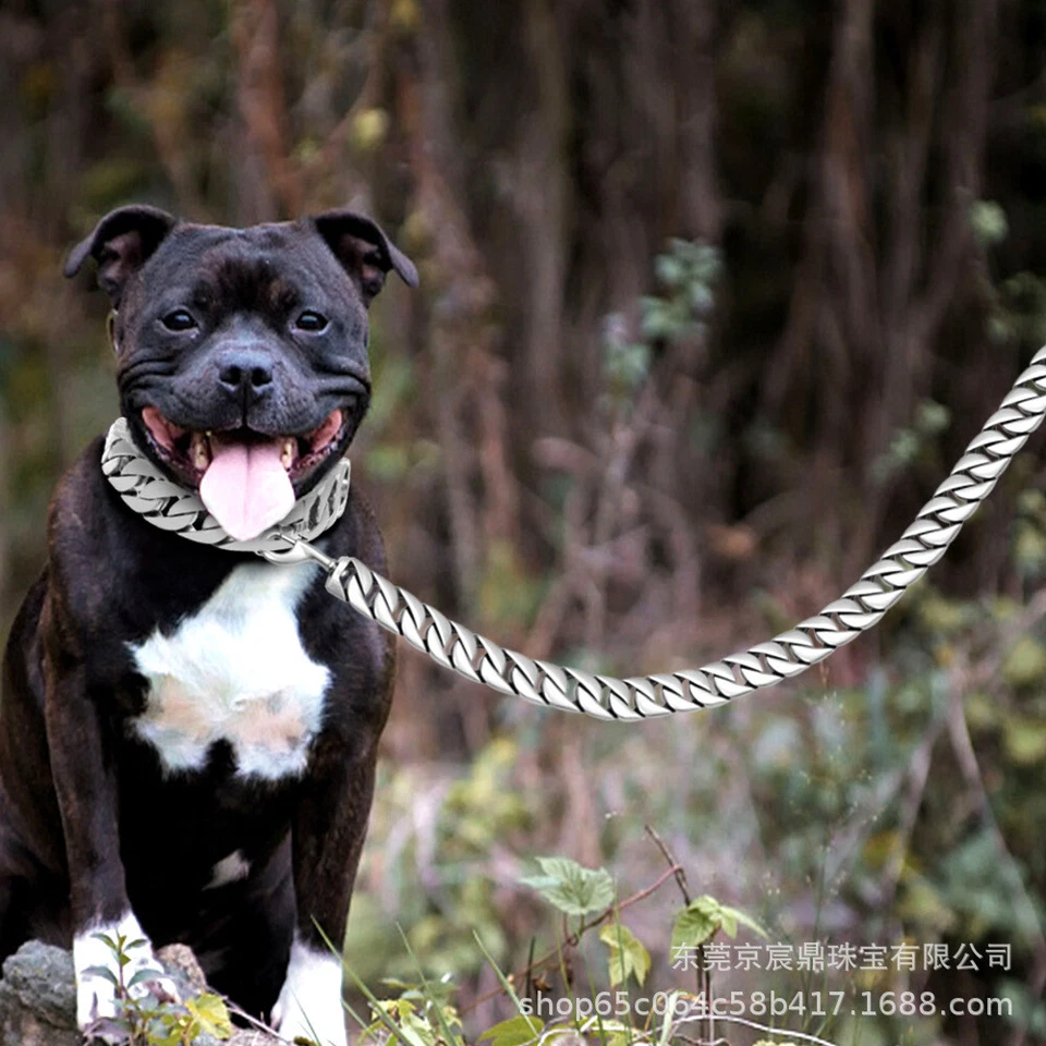 Guinzaglio Per Cani In Oro 18 Carati E Argento Resistente Con Catena In ☆ - Immagine 3 di 4