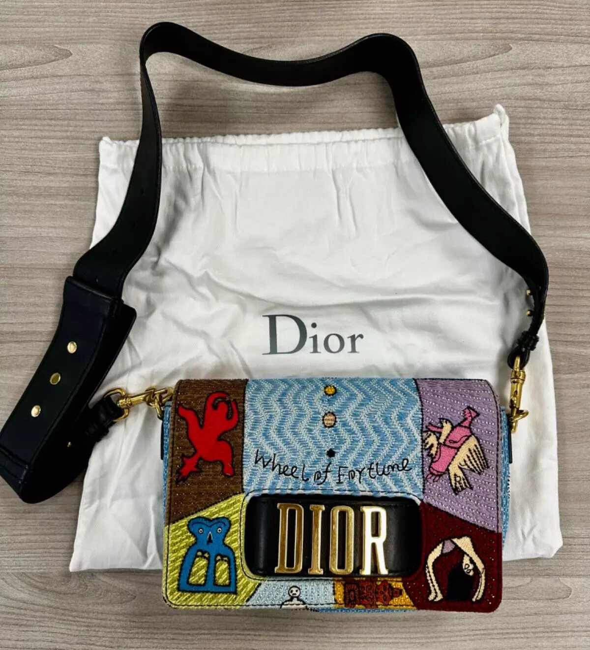 Sac bandoulière cuir tarot Dior édition limitée Diorevolution Wheel Of Fortune