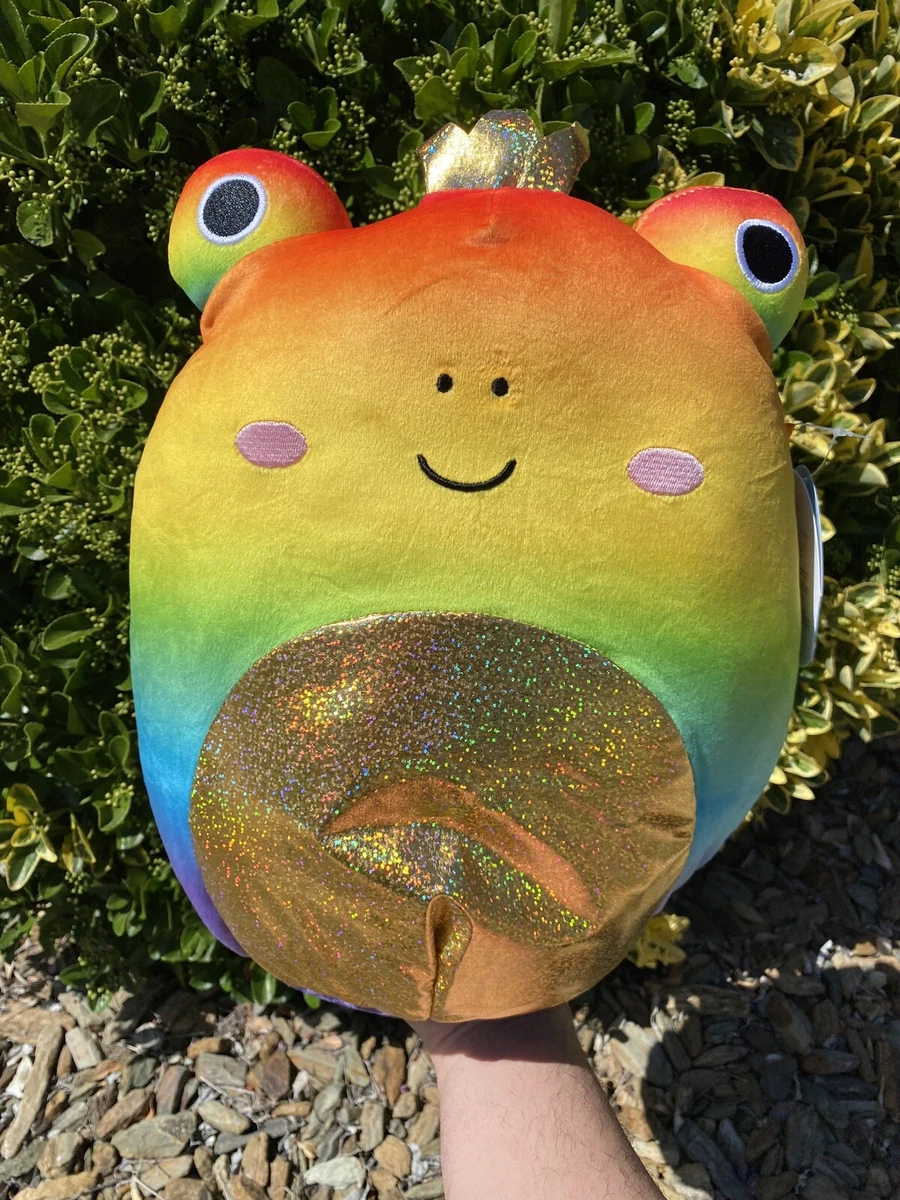 BNWT Vas The Frog Pride Collection 14 Inch Squishmallow