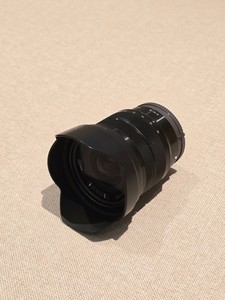 Sony E 10-18mm f/4 OSS SEL1018 Wide Fish Eye E-Mount Lens