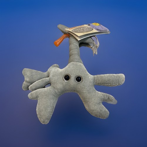 GIANT-microbes Brain Cell Neuron Plush • Stuffed Animal Toy