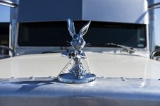 Shotgun Bunny Hood Ornament Semitruck Universal Peterbilt Freightliner Kenworth