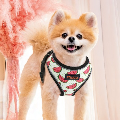 Cute Small Dog Harness Safe Reflective Pet Puppy Cat Kitten Mesh Vest Chihuahua - Picture 5 of 18