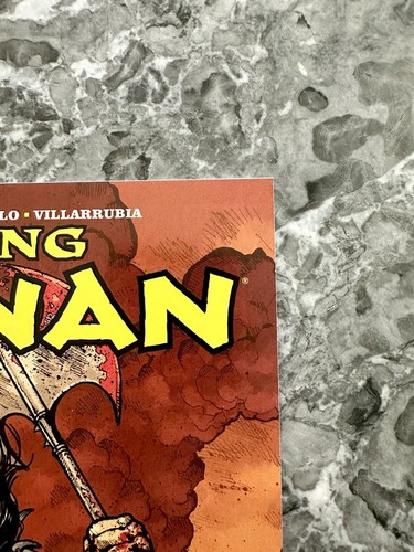 King Conan The Barbarian 1 2 3 & 4 Scarlet Citadel Complete 4 Comic Set Lot NM - 第 9/22 張圖片