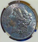 1889 P Morgan  Dollar PURPLE  UNCIRCULATED Monster Toning Overse And Reverse -99