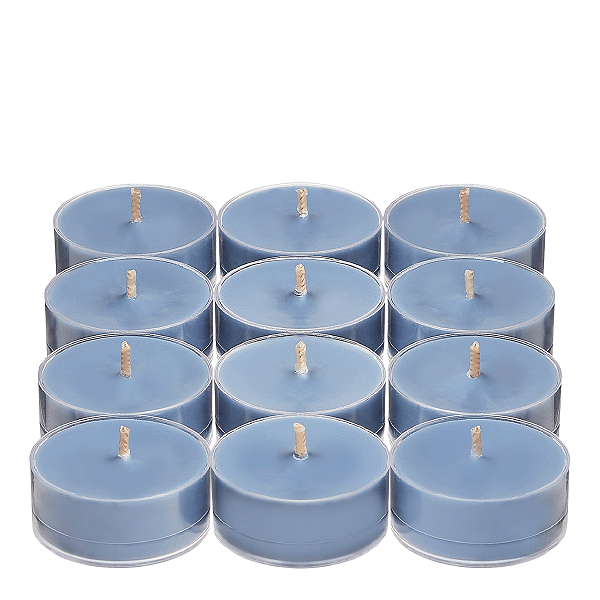 Partylite 2 BOXES OF MIDNIGHT CACTUS TEALIGHT CANDLES NIB | eBay