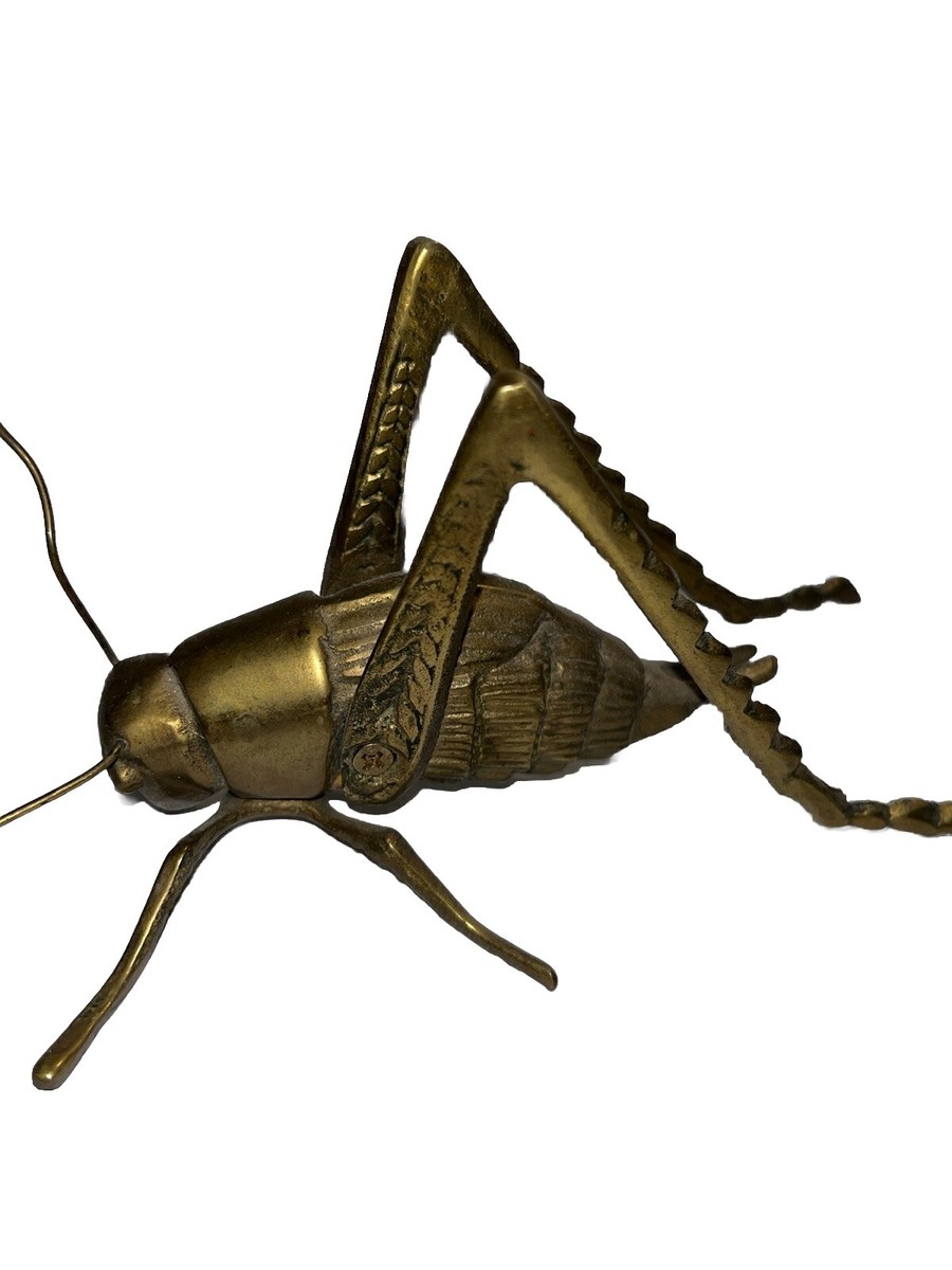 Grasshopper Sites Like Locast Insect Locast Schedule Grasshopper