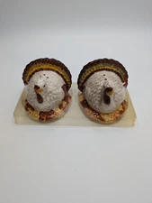 Turkey Thanksgiving Salt and Pepper Shaker Set New In Package Harvest