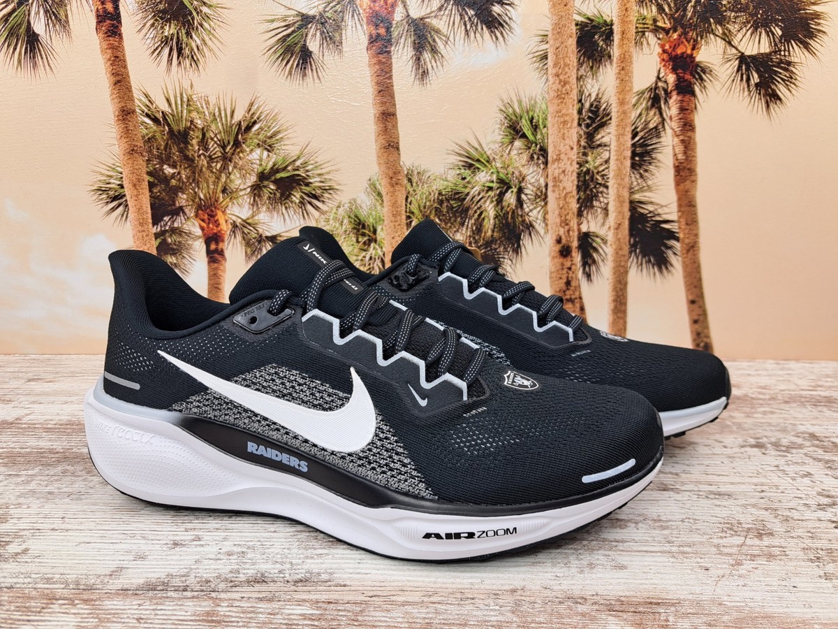 raiders pegasus 36