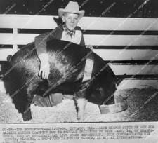 1954 blue ribbon hog Blackie w junior hog champion Dick Nash Chicago Livestock