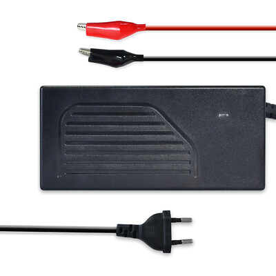 12V 14.6V 4A LiFePO4 Lithium-Batterieladegerät mit automatischer BMS Aktivierung