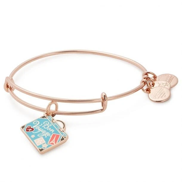 Alex and ani journey best sale bracelet
