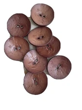 DILL BUTTONS #410030 FASHION--2 HOLE--60mm Dark Brown - 8 PIECES