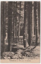 VALLOMBROSA - FIRENZE - S. CATERINA -14778-