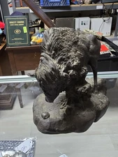 VINTAGE 1981 NATIONAL WILDLIFE FEDERATION ~ THUNDER ON THE PLAINS ~ BY CHAPEL