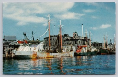 Postcard One Of New England's Fishing Fleets at Home Port A8164