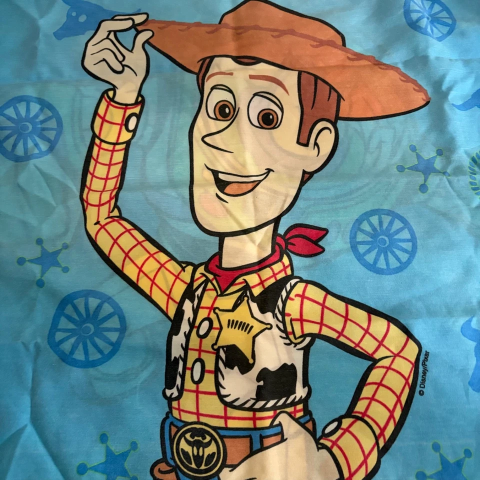 Funda de almohada Disney Toy Story Woody and Buzz Lightyear azul para niños Foto 2 de 4