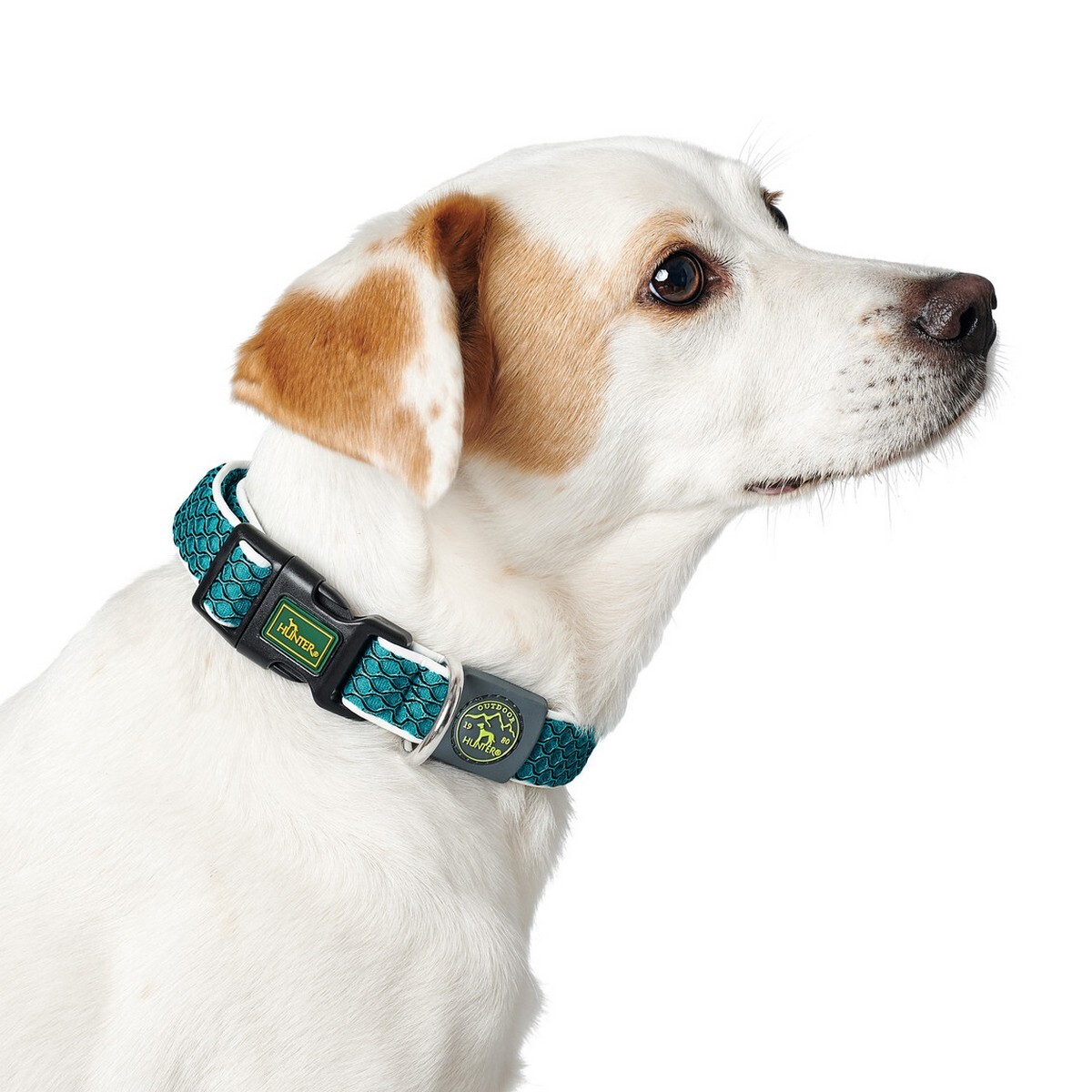 Collare per Cani Hunter Vario Basic Fili Marrone Taglia S [30-43 cm]