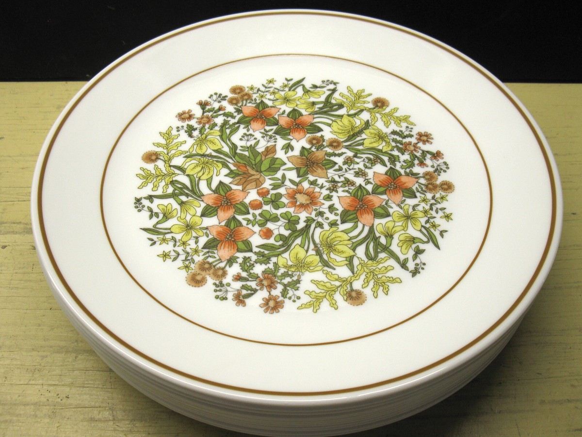 Vintage Corelle Corning (12) INDIAN SUMMER Dinner Plates Discontinued USA