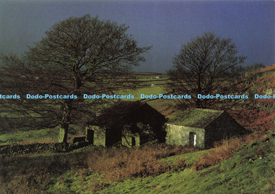D143657 DL 10 Scar Side House Hebden Gill Dalescape Karten David Green