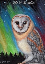 Barn Owl Bird Northern Lights Auroras Stars ACEO Original Art Miniature Painting