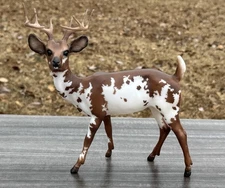 Breyer Collectors club Piebald Deer GARRETT Limited Edition