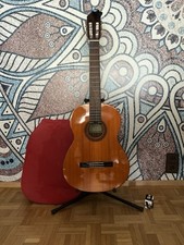 Yamaha 4/4 Akustikgitarre Eterna EC-12 Inkl. Tasche, Ständer Und Stimmgerät