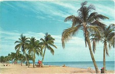 Florida Sundrenched Beach in Florida Palm Trees and Sand Beach Postcard