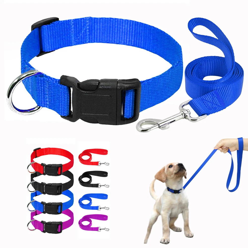 Pet Supplies Dog Collar, Collar Small Dog Rope