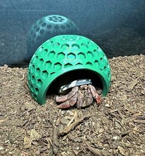 Hermit Crab Coconut Hide Hermit Crab Climbing Hideout Cave Hermit Crab Decor