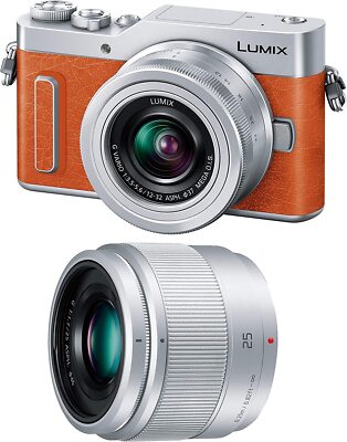 Panasonic Mireless SLR camera GF10 Double Lens Kit Standard Zoom