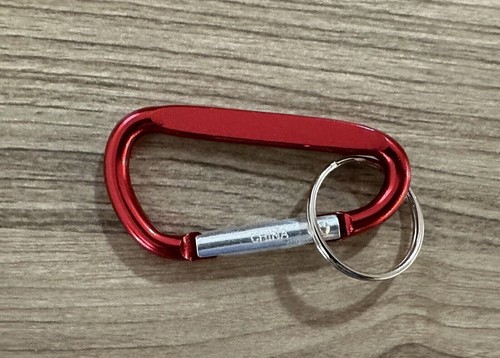 Carabiner Keychains PICK & CHOOSE Design Keychain Keyring Apple Compass - 第 14/37 張圖片