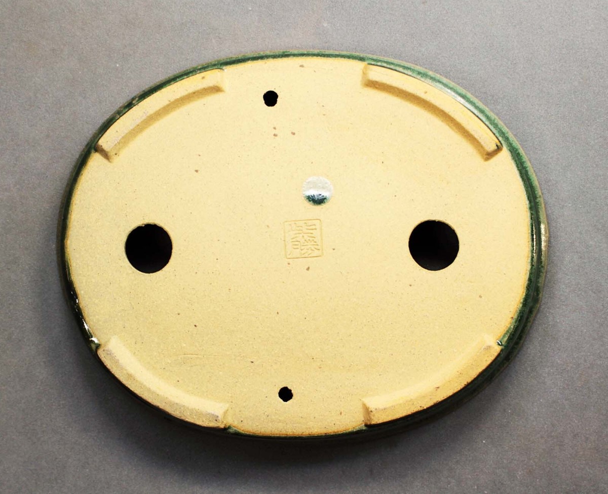 SIMESABA☆ Tokoname Oval Bonsai Pot by Shibakatsu, #F-18G : 197*159