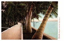 Postcard ROAD SCENE Palm Beach Florida FL f/01 AQ9301 Postcard ROAD SCENE Palm Beach Florida FL f/01 AQ9301