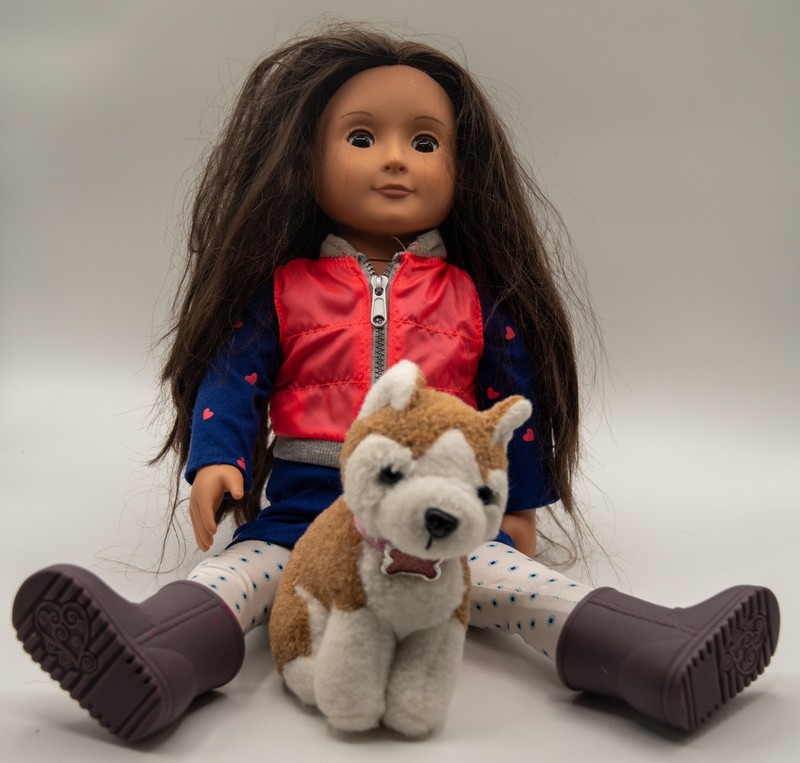 Our Generation Leslie with complete outfit and dog 18" doll