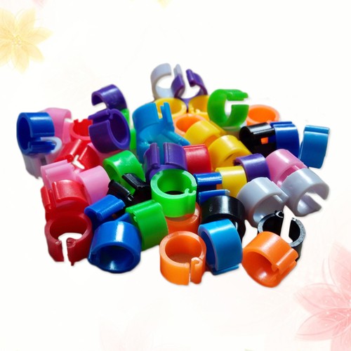 Set of 2 Homing Pigeon Anklet Baby Plastic Ring Bird Tag Toys for Birds - 第 11/12 張圖片
