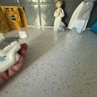 Picture 6 of 8