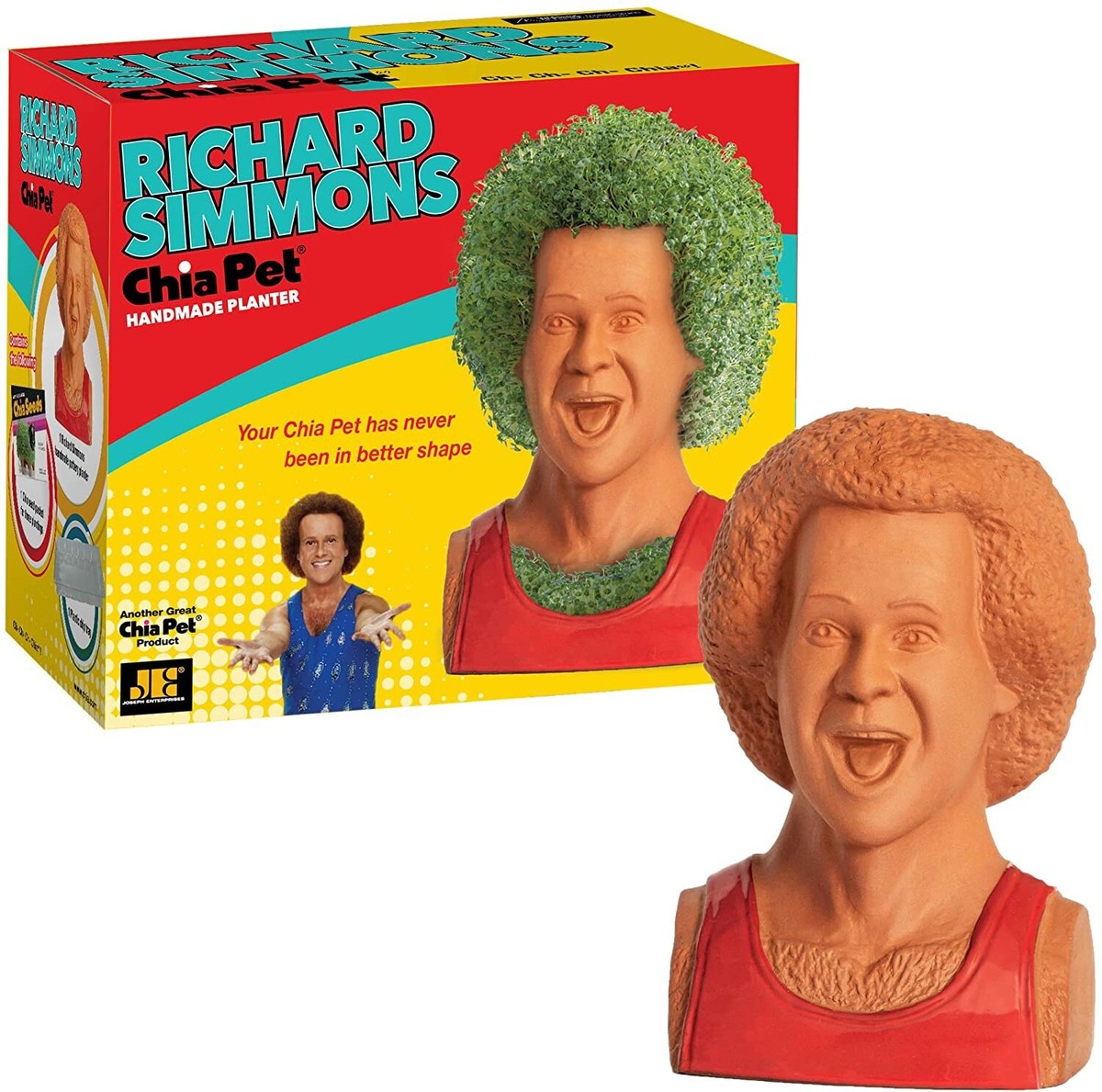 New In Box Richard Simmons Chia Pet Handmade Planter | eBay