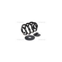 Fahrwerksfeder Triscan 8750 29150 FüR Vw, Hinterachse