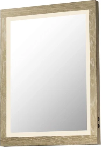 ET2 E42052 Sawyer 24"W x 36"H Rectangular Flat Framed Accent - Wood - Picture 1 of 8