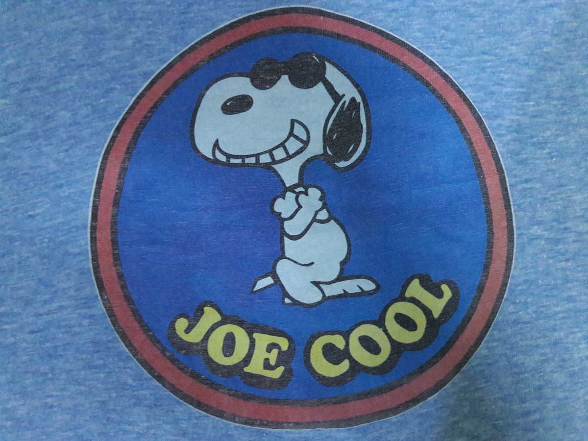 VINTAGE 70S SNOOPY PEANUTS JOE COOL CHAMPION BLUE BAR