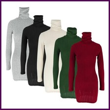 Autumn Winter New Dresses Women Long Sleeves Turtleneck Solid Sexy Bodycon