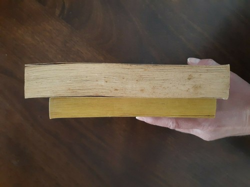 2 Bks - Anne of Green Gables - Montgomery and Heidi (Magnum easy eye) - Spyri - Imagen 6 de 12